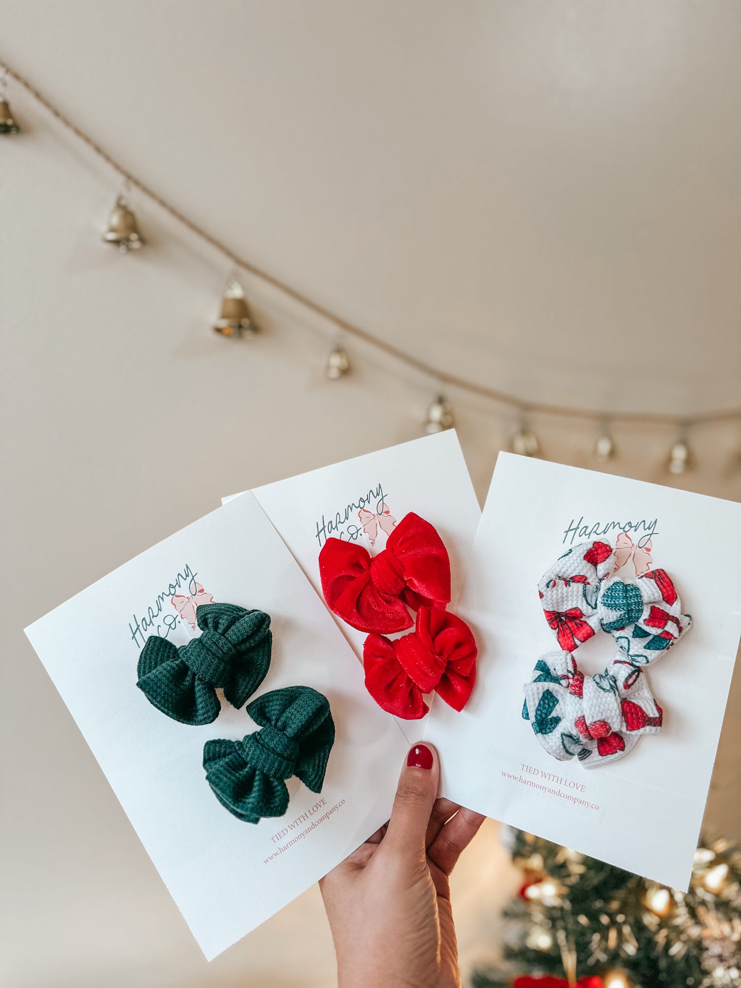 The Kay-Lee Bow (Single)